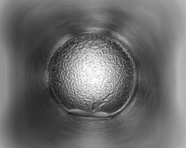 X0000094081362200710261258