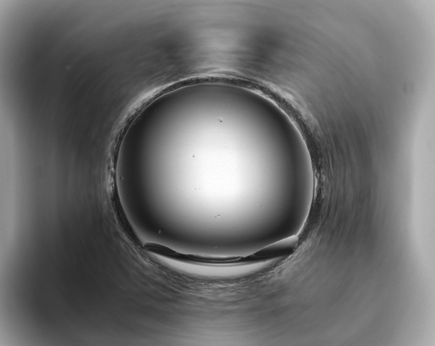 X0000094081363200710261258