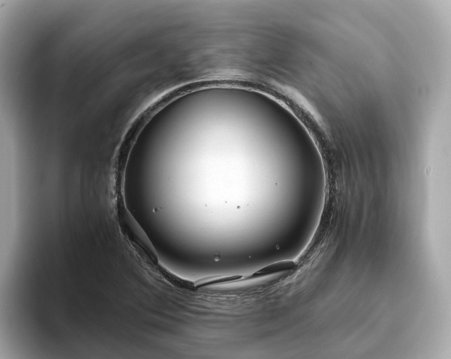 X0000094081364200710261258