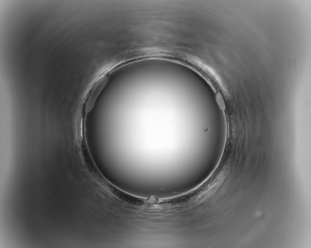 X0000094081365200710261258