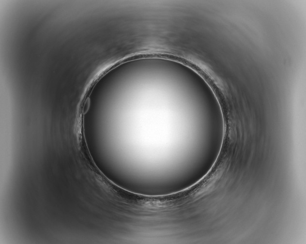 X0000094081366200710261258