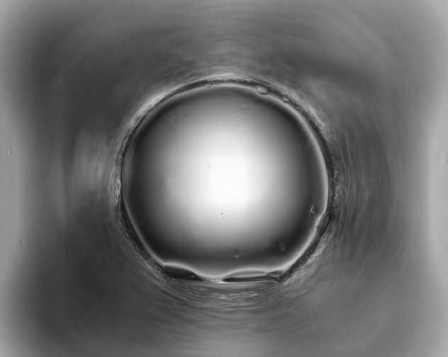 X0000094081367200710261258