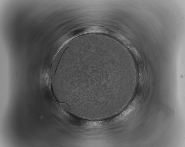 X0000094081369200710261258