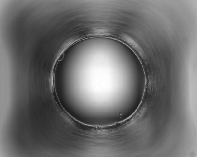 X0000094081370200710261258