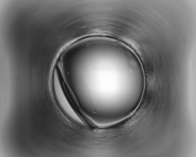 X0000094081371200710261258