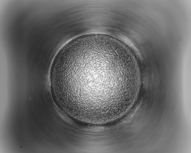 X0000094081372200710261258