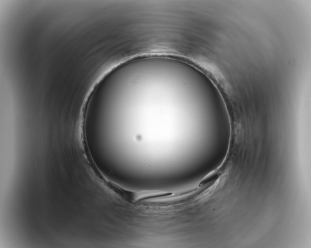 X0000094081374200710261258