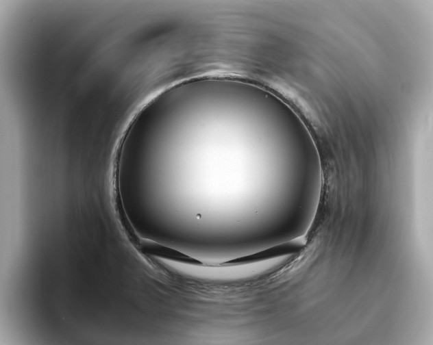 X0000094081375200710261258