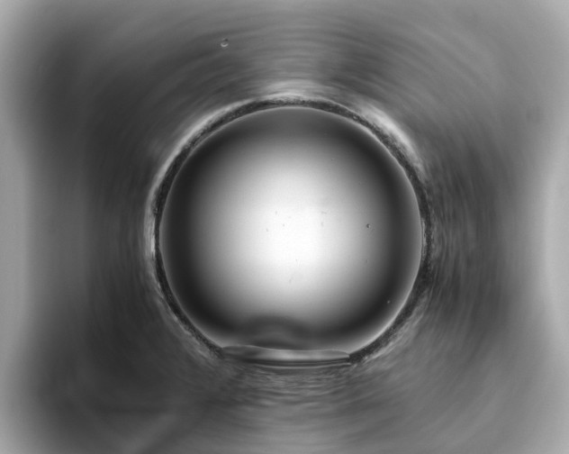 X0000094081376200710261258