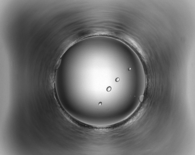 X0000094081377200710261258