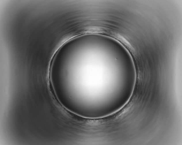 X0000094081378200710261258