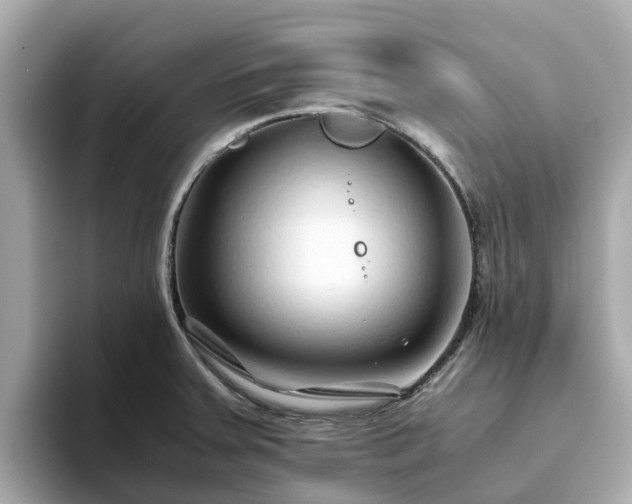 X0000094081379200710261258