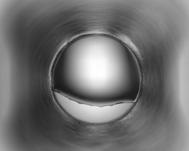 X0000094081380200710261258