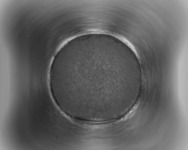 X0000094081381200710261258