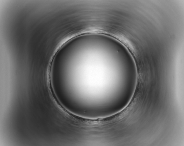 X0000094081382200710261258