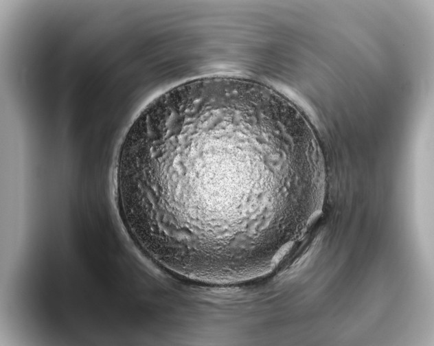 X0000094081383200710261258