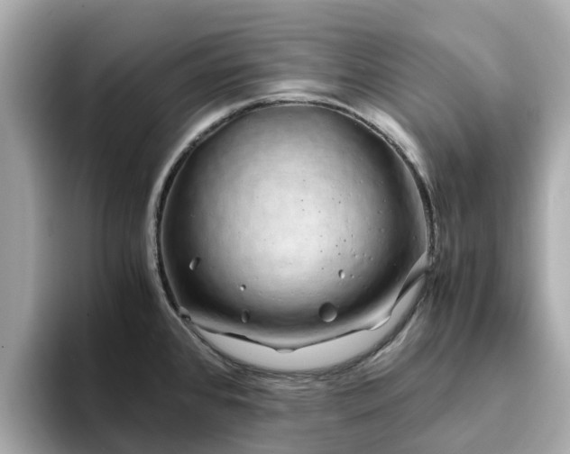 X0000094081384200710261258