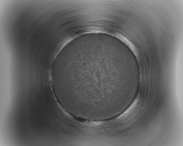 X0000094081385200710261258