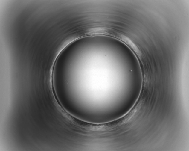 X0000094081386200710261258