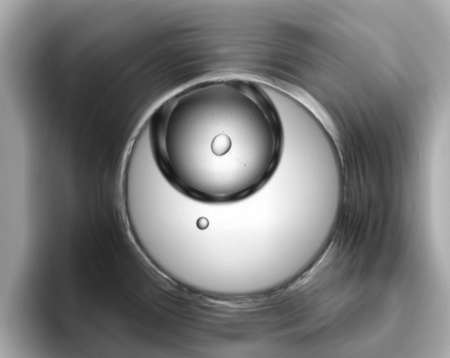 X0000094081388200710261258