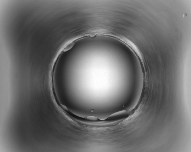 X0000094081389200710261258