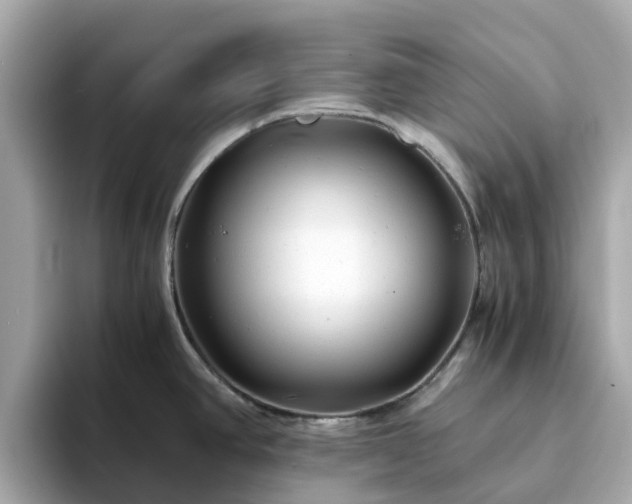 X0000094081390200710261258