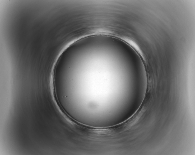 X0000094081391200710261258