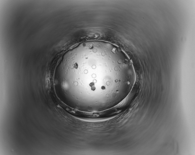 X0000094081394200710261257