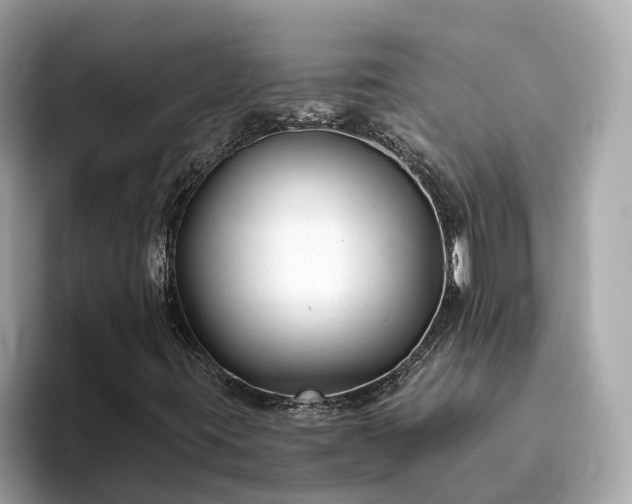 X0000094081395200710261257