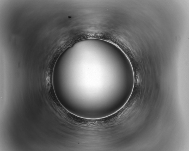 X0000094081396200710261257