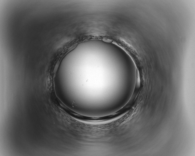 X0000094081398200710261257