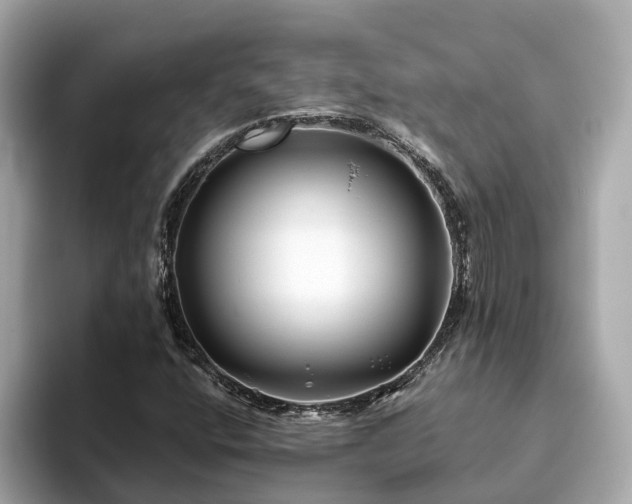 X0000094081400200710261258