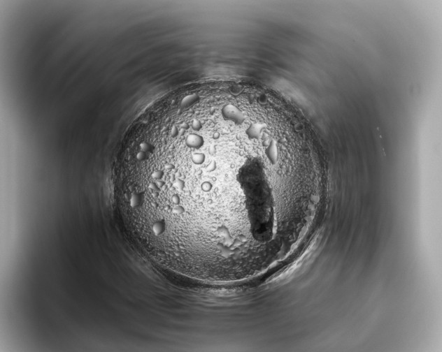 X0000094081401200710261258