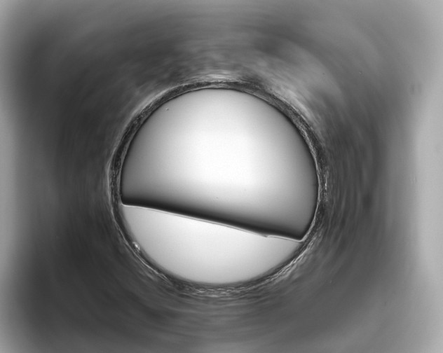 X0000094081404200710261258