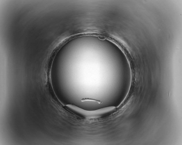 X0000094081407200710261258