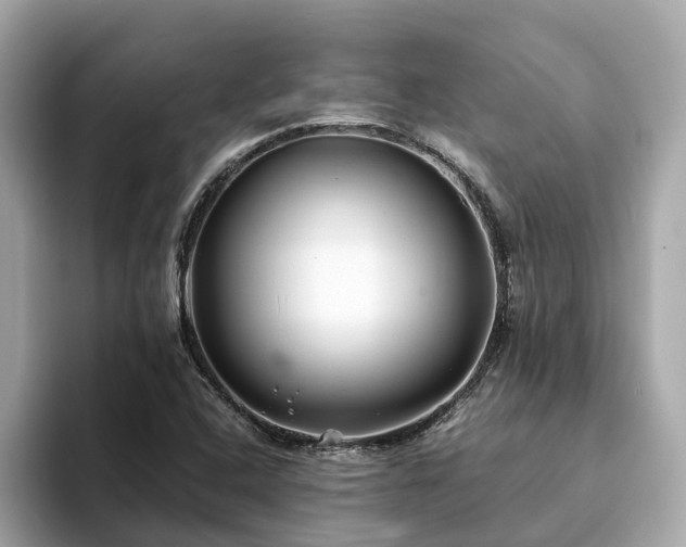 X0000094081408200710261258