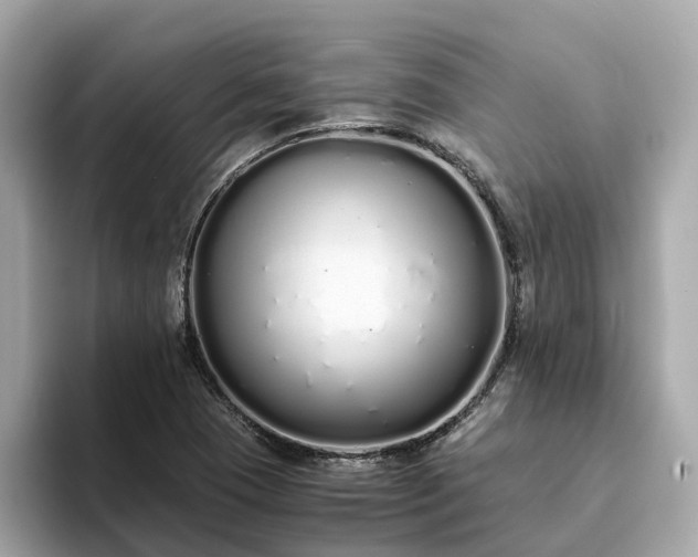 X0000094081409200710261258