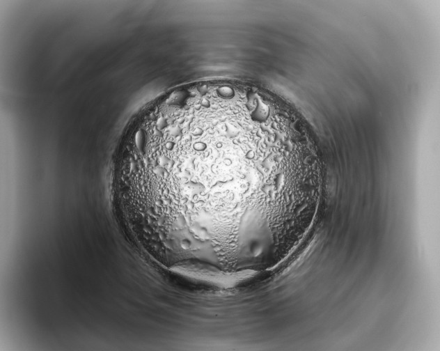 X0000094081411200710261258