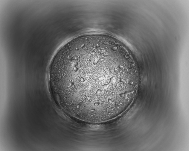 X0000094081413200710261258