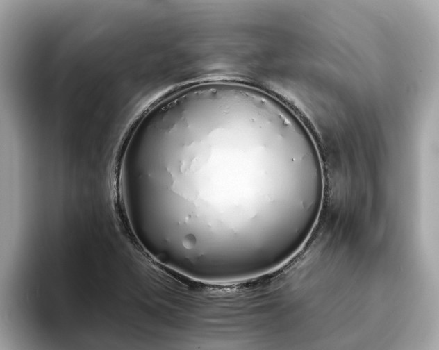 X0000094081415200710261258