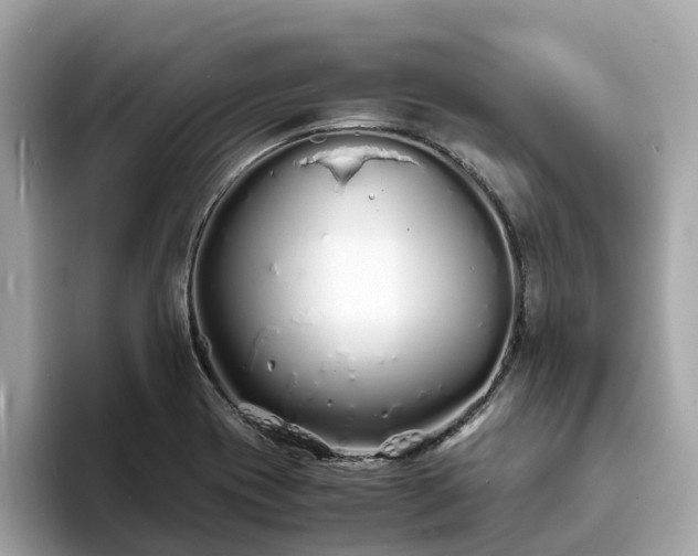 X0000094081417200710261258