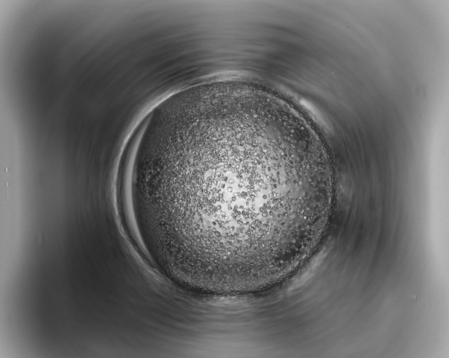 X0000094081418200710261258