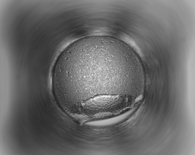 X0000094081419200710261258