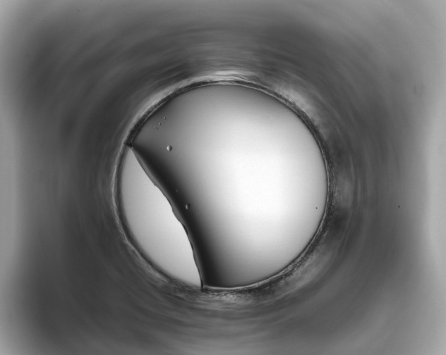 X0000094081420200710261258