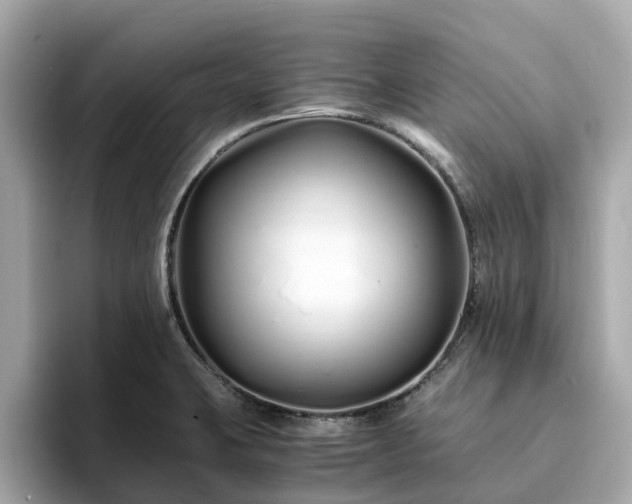 X0000094081423200710261258