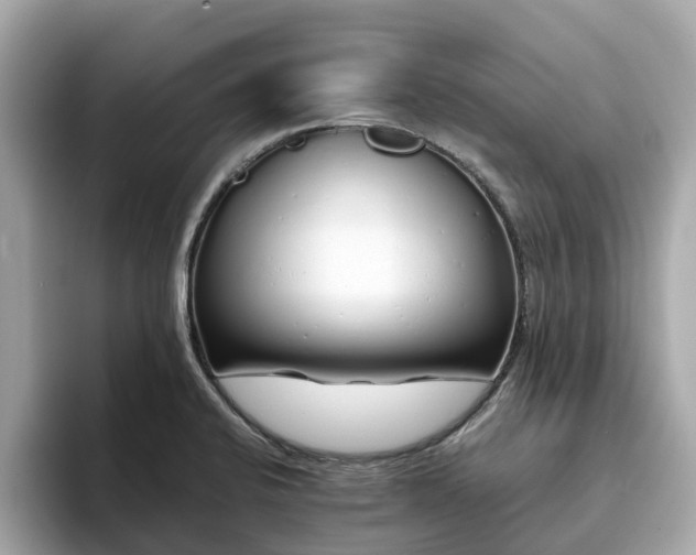 X0000094081424200710261258