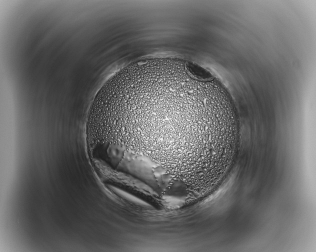 X0000094081425200710261258