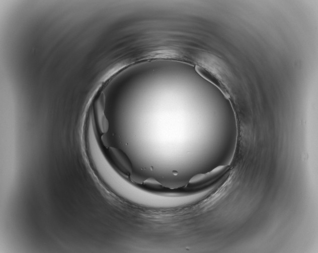 X0000094081426200710261258