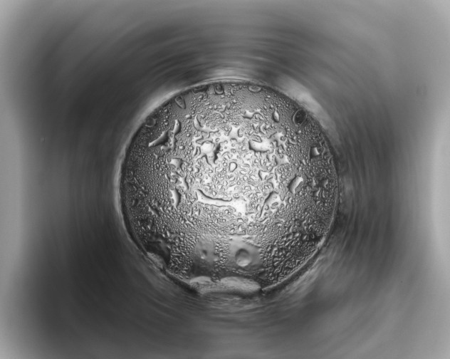 X0000094081427200710261258