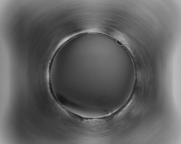 X0000094081428200710261258